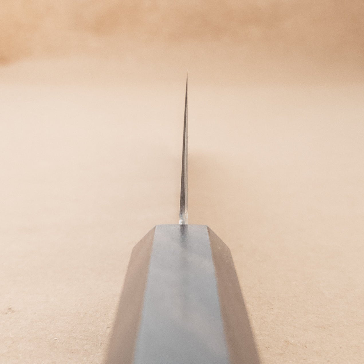 210mm Hatsukokoro Hayabusa HAP40 Wa Gyuto choil- District Cutlery