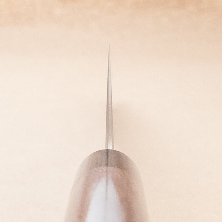 240mm Tsunehisa SRS13 Wa Gyuto - District Cutlery