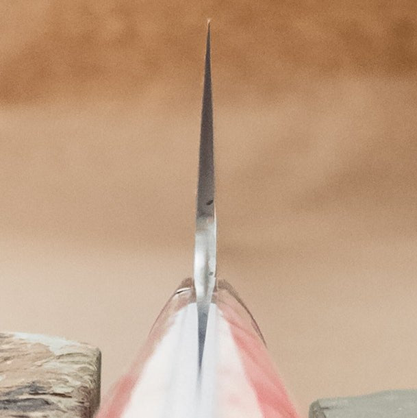 390mm Saji Damascus SG2 Sakimaru Yo Handle choil - District Cutlery