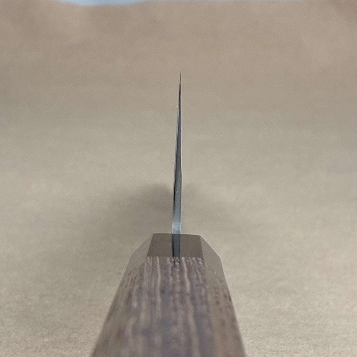 210mm Hatsukokoro Ginrei Ginsan Wa Gyuto