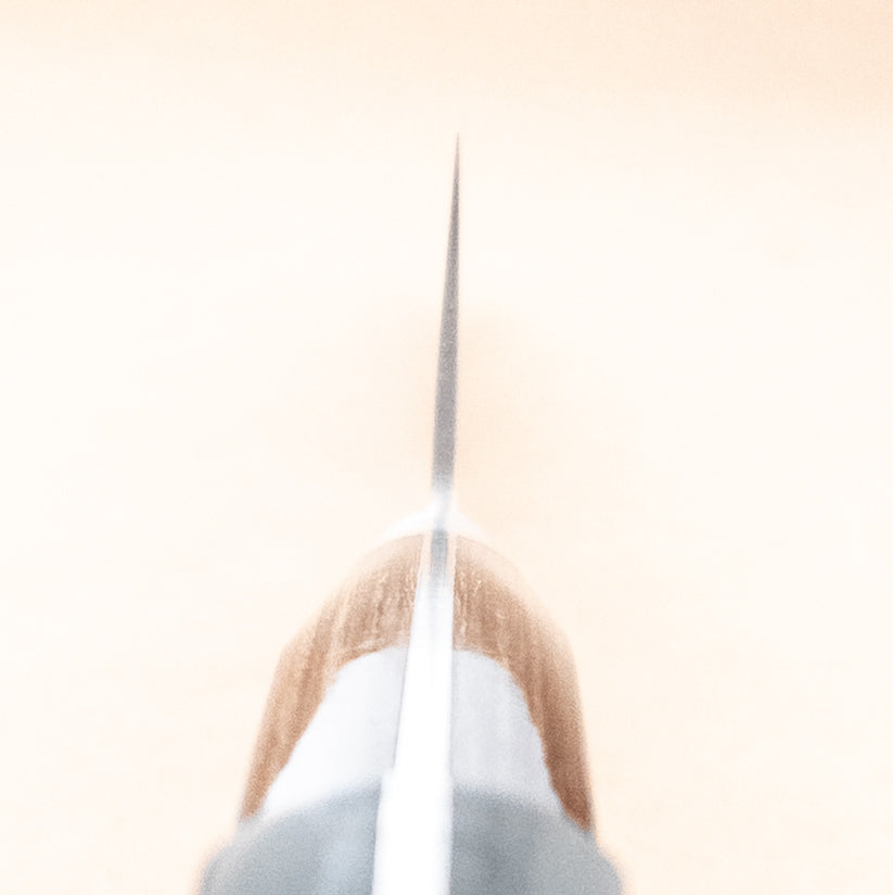 210mm Tsunehisa Ginsan Gyuto Yo Handle