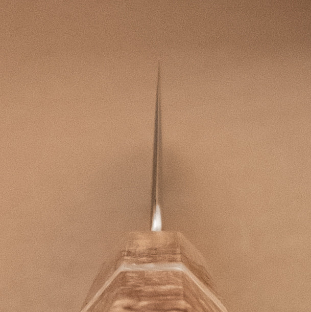 210mm Ryusen Fukakuryu Kai ATS314 Damascus Wa Gyuto