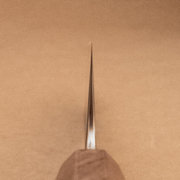 210mm Ryusen Blazen SG2 Wa Gyuto