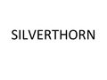 Silverthorn Knives - District Cutlery