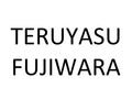 Teruyasu Fujiwara Knives - District Cutlery