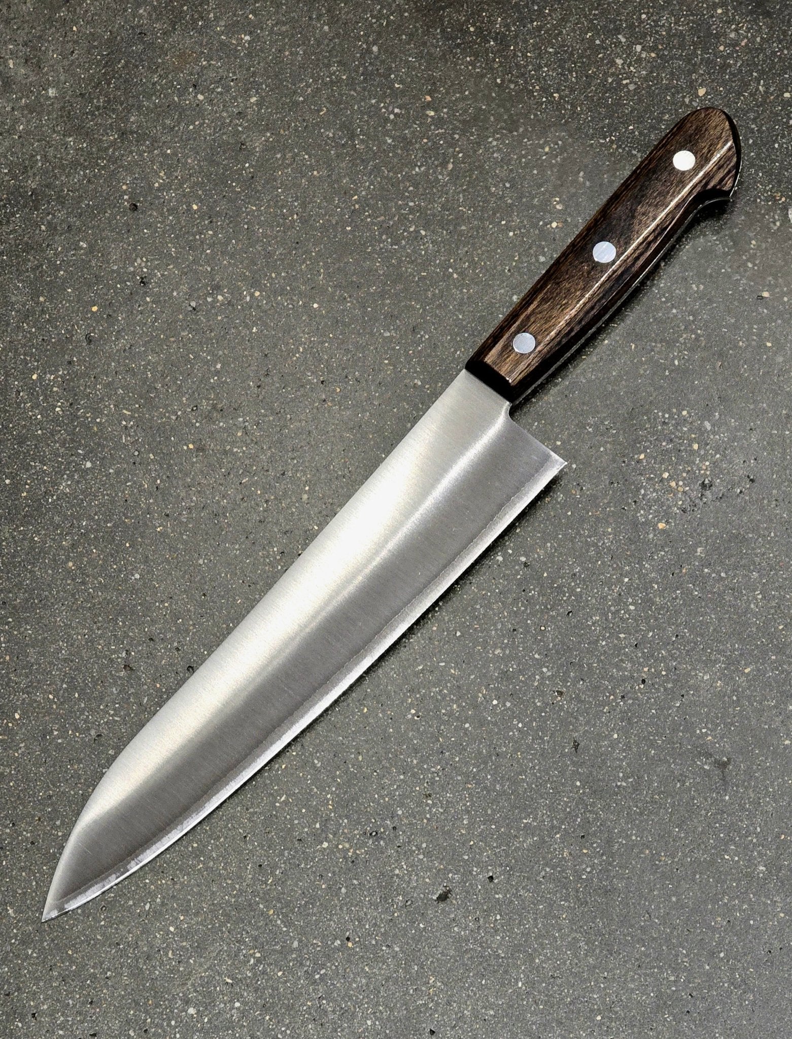 210mm Tsunehisa SLD Gyuto Brown Yo Handle - District Cutlery