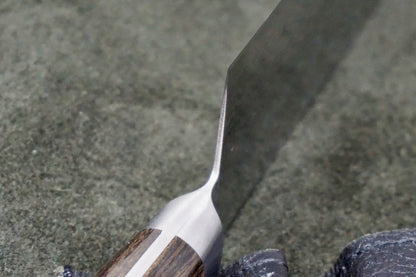 Tsunehisa Polished Damascus AUS10 Gyuto 210mm