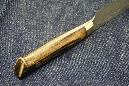 Saji Nickel Damascus Petty Knife