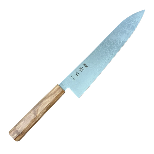 210mm Hatsukokoro Ryuhyo SG2 Damascus Wa Gyuto