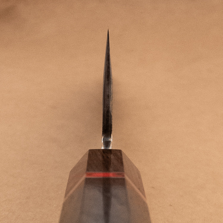 240mm Shigeki Tanaka Aogami Wa Gyuto