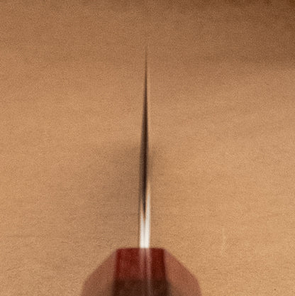 210mm Kato SG2 Minamo Wa Gyuto