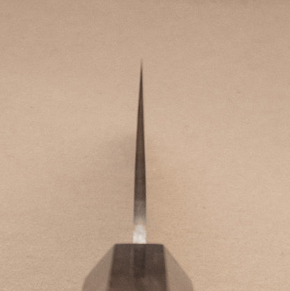 210mm Saji Aogami Rainbow Damascus Wa Gyuto